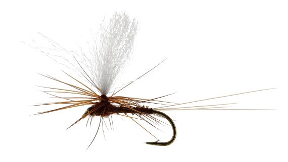 Marginata Dun Biot Brown TMC100 i gruppen Fiskedrag / Flugor / Torrflugor hos Sportfiskeprylar.se (FL32130r)