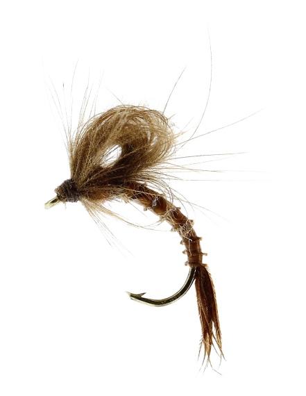Marginata Emerger Biot Brown TMC212TR #13 i gruppen Fiskedrag / Flugor / Torrflugor hos Sportfiskeprylar.se (FL32135)