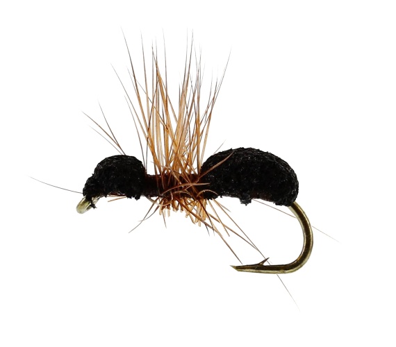 Foam Ant Brown TMC100 #16 i gruppen Fiskedrag / Flugor / Tubflugor hos Sportfiskeprylar.se (FL32145)