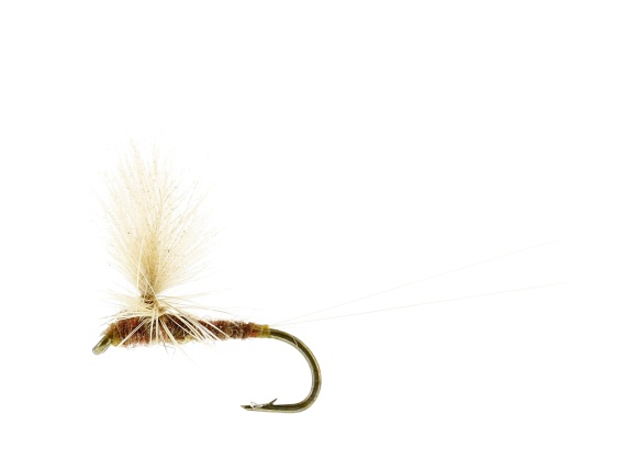 Ignita Dun Ginger TMC100 #16 i gruppen Fiskedrag / Flugor / Torrflugor hos Sportfiskeprylar.se (FL32155)