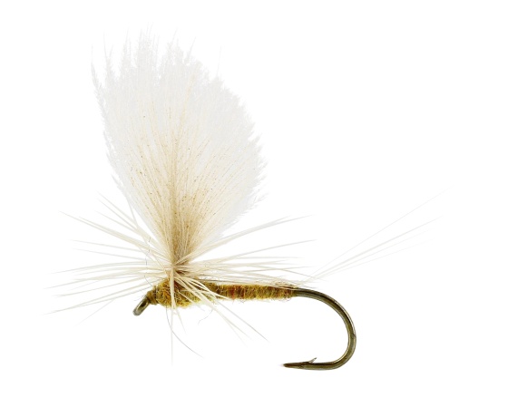 Sulphurea Dun Ginger TMC100 #12 i gruppen Fiskedrag / Flugor / Torrflugor hos Sportfiskeprylar.se (FL32165)