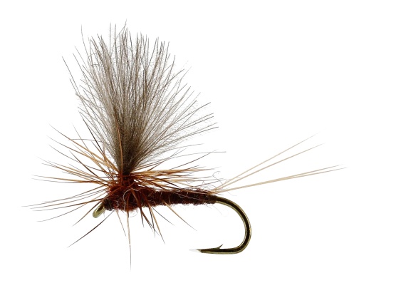 Vespertina Dun Brown TMC100 i gruppen Fiskemetoder / Flugfiske / Flugor / Torrflugor hos Sportfiskeprylar.se (FL32170r)