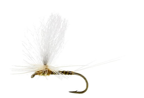 Sulphurea Dun Quill Yellow TMC100 i gruppen Fiskemetoder / Flugfiske / Flugor / Torrflugor hos Sportfiskeprylar.se (FL32200r)