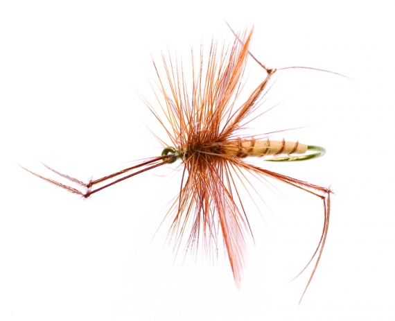 Daddy Long legs Tan/Brown TMC 2302 #12 i gruppen Fiskedrag / Flugor / Torrflugor hos Sportfiskeprylar.se (FL44108)