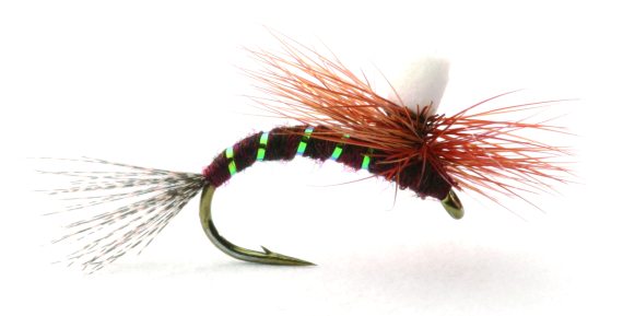 Ephemerella Klekker i gruppen Fiskedrag / Flugor / Torrflugor hos Sportfiskeprylar.se (GL46169r)