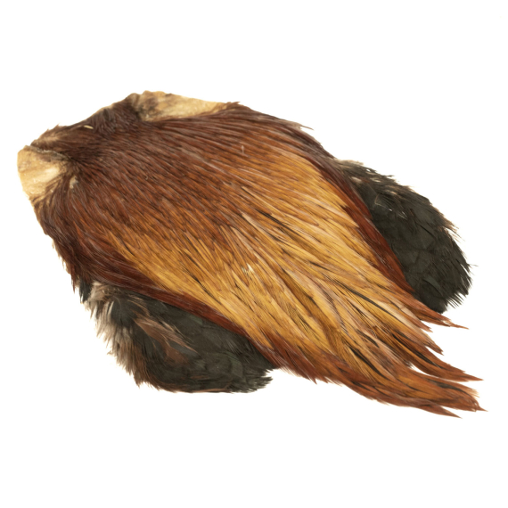 Indisk tuppnacke - Med brun i gruppen Krok & Småplock / Flugbindning / Flugbindningsmaterial / Fjädrar & Nackar / Nackar & Sadlar hos Sportfiskeprylar.se (GN11-5)