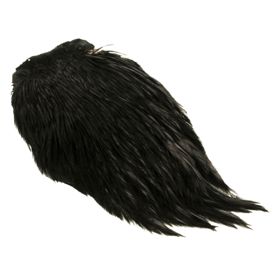 Indisk tuppnacke - Svart i gruppen Krok & Småplock / Flugbindning / Flugbindningsmaterial / Fjädrar & Nackar / Nackar & Sadlar hos Sportfiskeprylar.se (GN28-31)