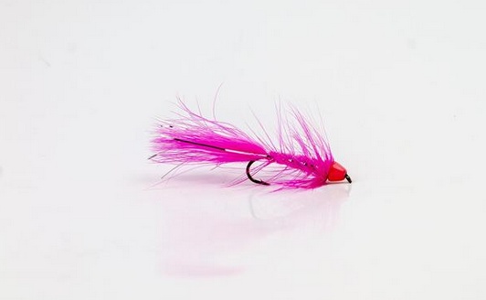 Wolly Bugger Cone Pink size 8 i gruppen Fiskedrag / Flugor / Streamers hos Sportfiskeprylar.se (HF1227-8)