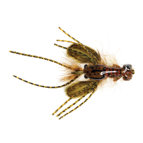 Umpqua Creek Crawler Olive #4 Hada\'s i gruppen Fiskedrag / Flugor / Streamers hos Sportfiskeprylar.se (NFD9656-OL4)