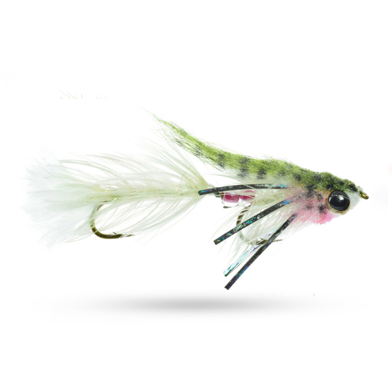 Umpqua Baby Gonga Rainbow #8 i gruppen Fiskedrag / Flugor / Streamers hos Sportfiskeprylar.se (NFD9664-RB8)