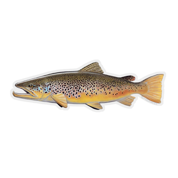 RepYourWater Sticker - Brown Trout i gruppen Övrigt / Klistermärken & Dekaler hos Sportfiskeprylar.se (NFD9717)