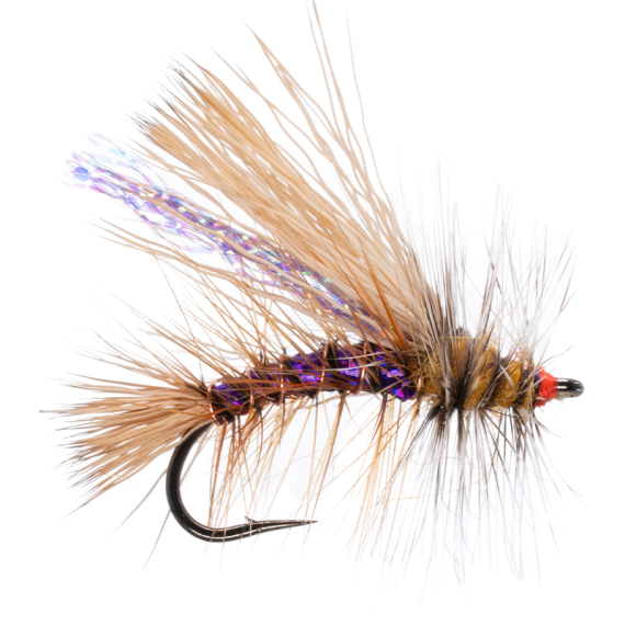 Umpqua Naked Stimulator Kaufmann Purple - #10 i gruppen Fiskedrag / Flugor / Torrflugor hos Sportfiskeprylar.se (NFD9827--Purple)