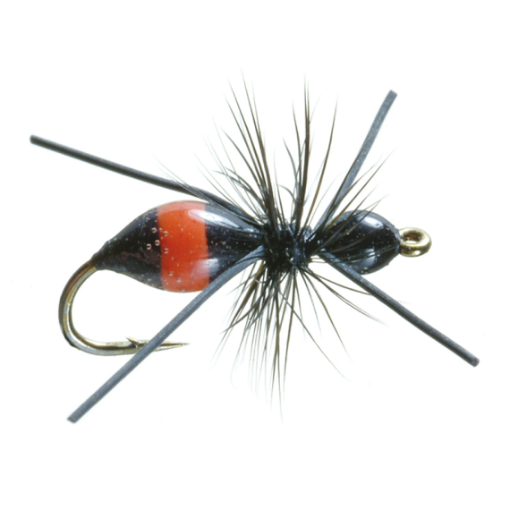 Umpqua Attract-Ant Black/Red - #16 i gruppen Fiskedrag / Flugor / Torrflugor hos Sportfiskeprylar.se (NFD9861-16)