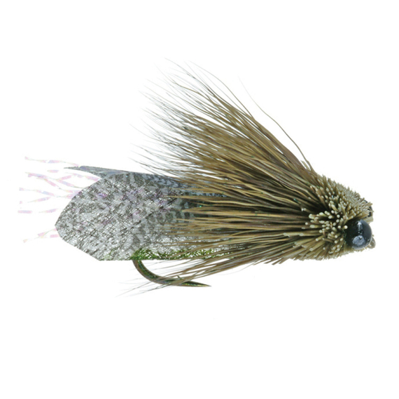 Umpqua Clark\'s Cicada Olive - #10 i gruppen Fiskedrag / Flugor / Torrflugor hos Sportfiskeprylar.se (NFD9865-10)