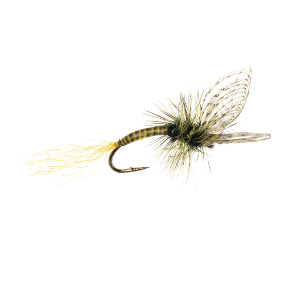 Umpqua Maldos PMD Emerger Maldonado i gruppen Fiskedrag / Flugor / Torrflugor hos Sportfiskeprylar.se (NFD9870-16r)