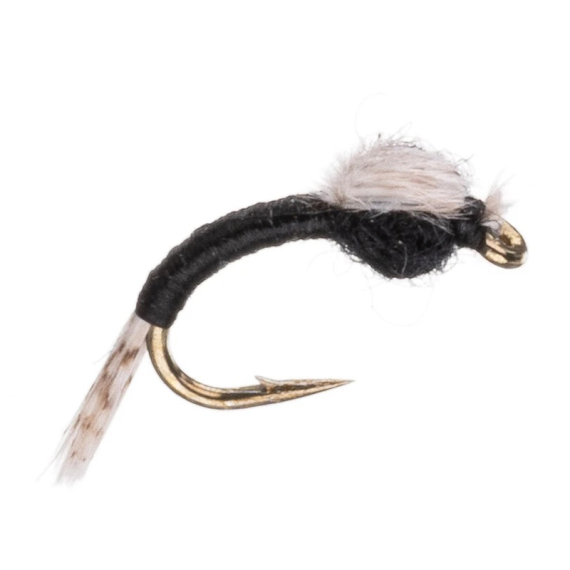 Umpqua WD 40 Black i gruppen Fiskedrag / Flugor / Nymfer hos Sportfiskeprylar.se (NFD9877-Black18r)