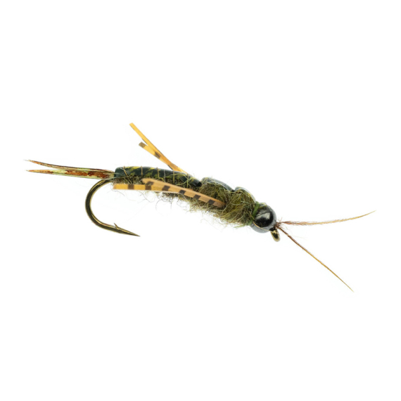 Umpqua Skwala Stone Tungsten Olive i gruppen Fiskedrag / Flugor / Våtflugor hos Sportfiskeprylar.se (NFD9886-8r)