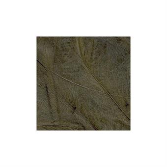 CDC Feathers 1 gr - Bistre i gruppen Krok & Småplock / Flugbindning / Flugbindningsmaterial / Fjädrar & Nackar / CDC hos Sportfiskeprylar.se (PE-1GR16)