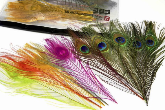 Frödin Peacock Feather Pack i gruppen Krok & Småplock / Flugbindning / Flugbindningsmaterial / Fjädrar & Nackar / Övriga Fjädrar hos Sportfiskeprylar.se (PFP-1)