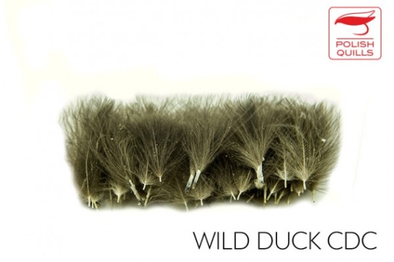 Polish Quill Wild Duck CDC i gruppen Krok & Småplock / Flugbindning / Flugbindningsmaterial / Fjädrar & Nackar / Övriga Fjädrar hos Sportfiskeprylar.se (PQ-WDCDC)
