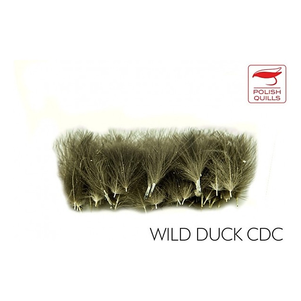 Polish Quill Wild Duck CDC i gruppen Krok & Småplock / Flugbindning / Flugbindningsmaterial / Fjädrar & Nackar / Övriga Fjädrar hos Sportfiskeprylar.se (PQ-WDCDC)