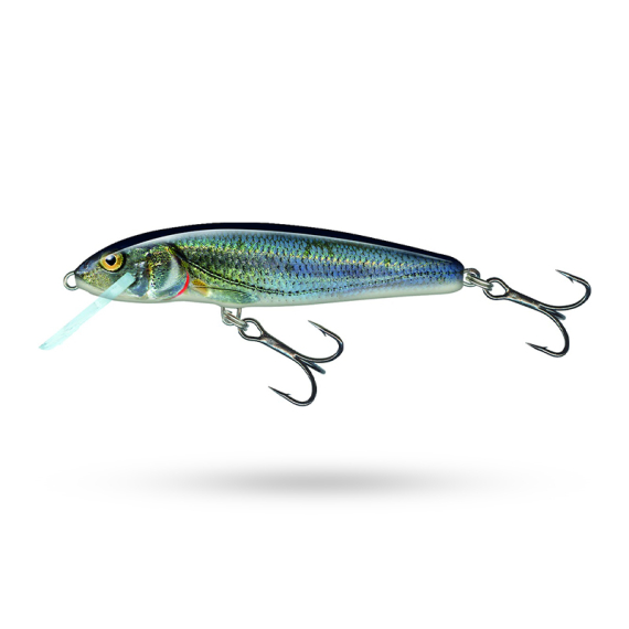 Salmo Minnow Floating i gruppen Fiskedrag / Wobblers / Grundgående Wobblers hos Sportfiskeprylar.se (QMW002r)