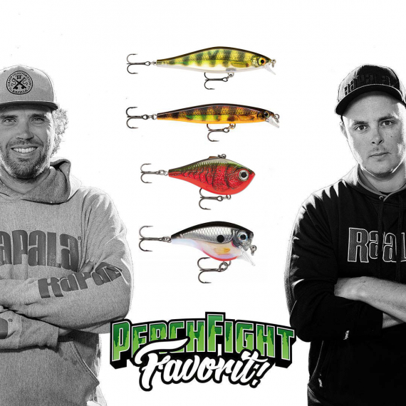 Team Rapala PerchFight Favoriter Hårdbete i gruppen Fiskedrag / Wobblers hos Sportfiskeprylar.se (R-PFF2)