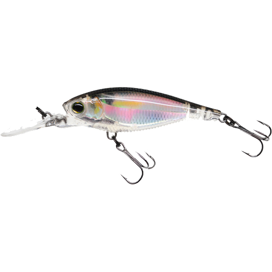 YO-Zuri 3DR Shad SP70 i gruppen Fiskedrag / Wobblers / Djupgående Wobblers hos Sportfiskeprylar.se (R1312-RGLMr)