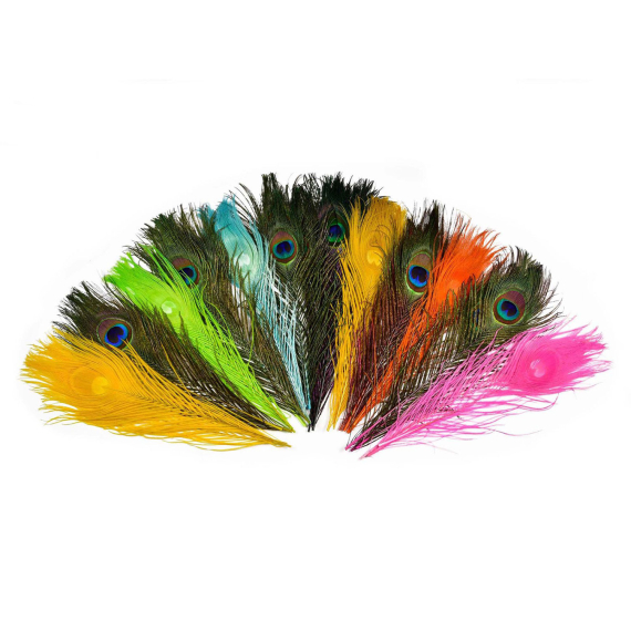 Frödin SNS Peacock Eye Feathers i gruppen Krok & Småplock / Flugbindning / Flugbindningsmaterial / Fjädrar & Nackar / Övriga Fjädrar hos Sportfiskeprylar.se (SNSPEF-01r)