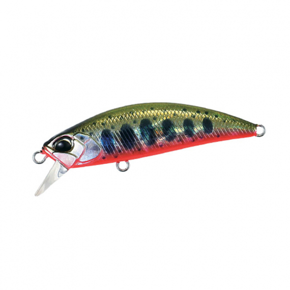 DUO Spearhead Ryuki 50S - Yamame Red Belly i gruppen Fiskedrag / Wobblers / Grundgående Wobblers hos Sportfiskeprylar.se (SR50SADA4068)