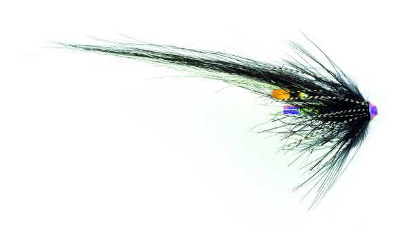 Frödin Samurai Series - Zebra i gruppen Fiskedrag / Flugor / Laxflugor hos Sportfiskeprylar.se (SSZBr)