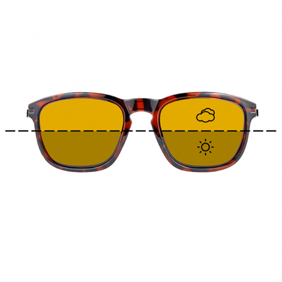 Fortis Eyewear Strokes, Switch i gruppen Kläder & Skor / Solglasögon / Polariserade Solglasögon hos Sportfiskeprylar.se (ST003)