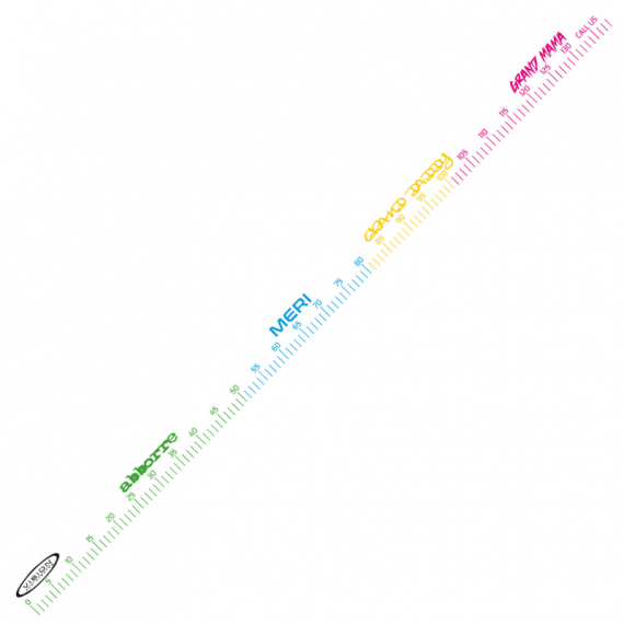 Vision Fish Measure Sticker i gruppen Övrigt / Klistermärken & Dekaler hos Sportfiskeprylar.se (VS10)