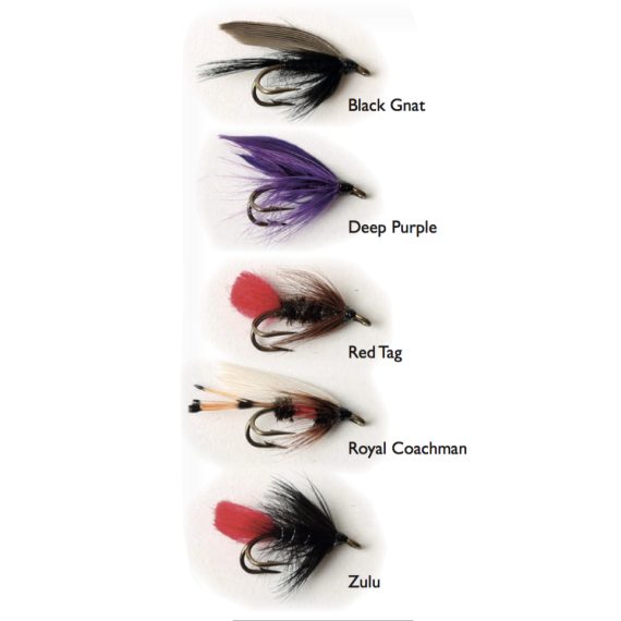 Wet Fly Double 5-pack i gruppen Fiskedrag / Flugor / Flugpaket hos Sportfiskeprylar.se (WFB102)