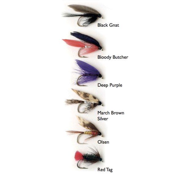 Wet Fly 1 6-pack i gruppen Fiskedrag / Flugor / Flugpaket hos Sportfiskeprylar.se (WFB121)