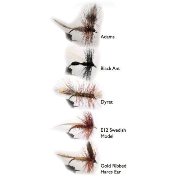 Dry Fly 2 5-pack i gruppen Fiskedrag / Flugor / Torrflugor hos Sportfiskeprylar.se (WFB124)