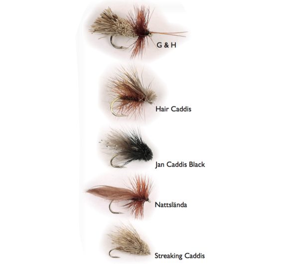 Dry Fly Sedges 5-pack i gruppen Fiskedrag / Flugor / Torrflugor hos Sportfiskeprylar.se (WFB125)
