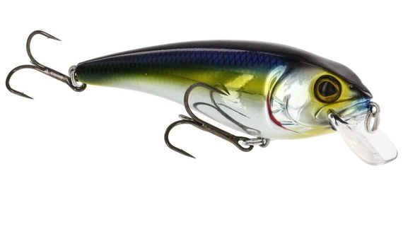 Westin RawBite 11cm 27g Low Floating i gruppen Fiskedrag / Wobblers / Grundgående Wobblers hos Sportfiskeprylar.se (WS14112r)
