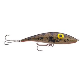 Burbot