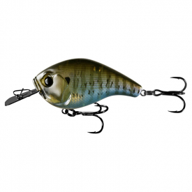 Rusty Bream