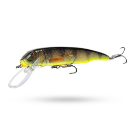 Black Perch