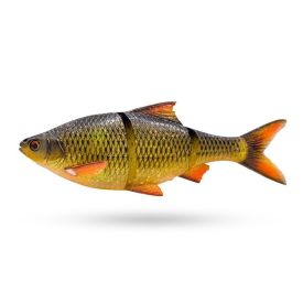 Clear Rudd