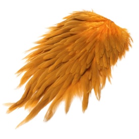 Dirty Sunburst/Olive