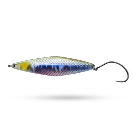 Aurora Baitfish