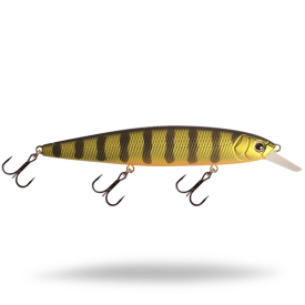 Golden Perch