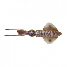 Savage Gear 3D Swim Squid 18cm 32g 2-Pack Cuttlefish