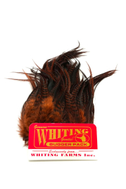 Grizzly dyed Coachman Brown