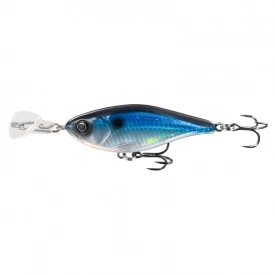 Blue Shad