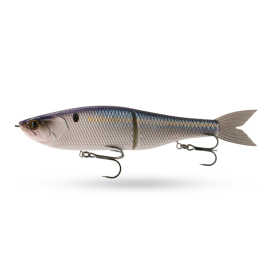 Live Threadfin Shad