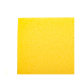 Yellow mayfly dun - Heptagenia